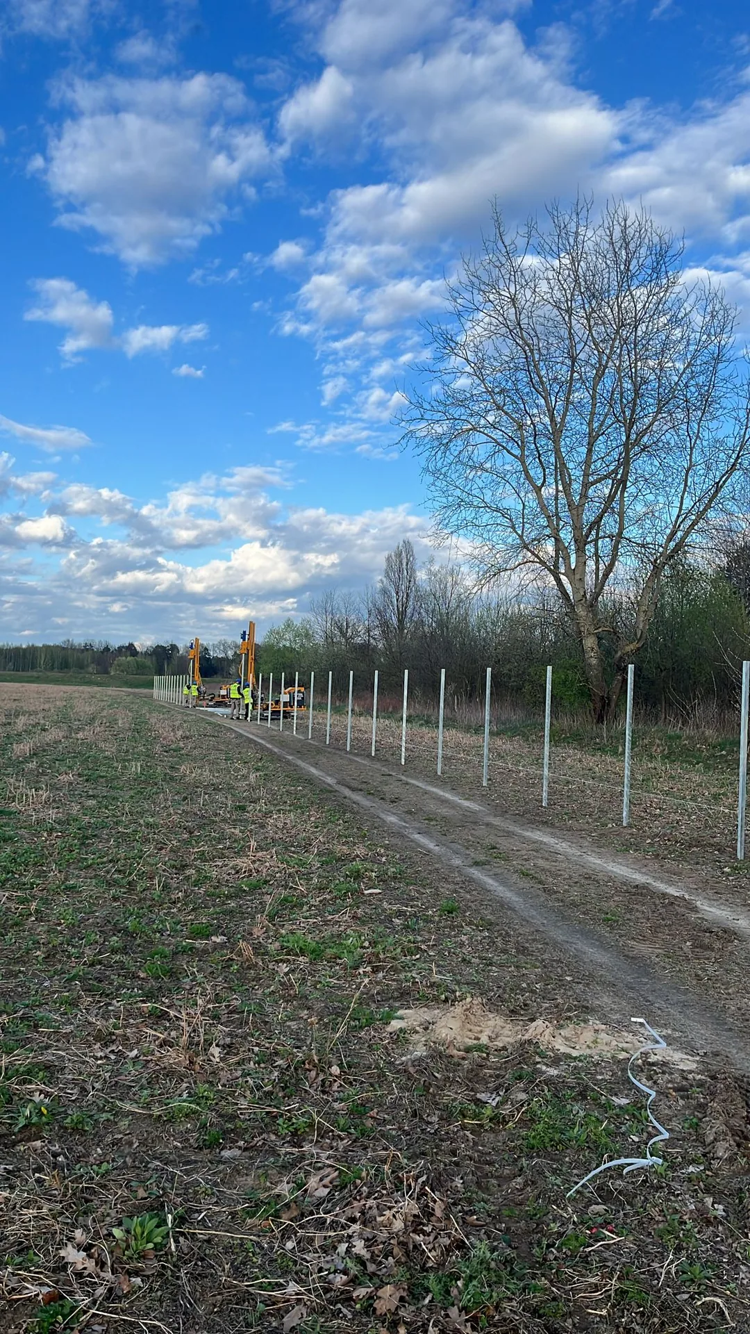 Rząd wbitych słupków prowadzący w głąb pola do maszyn kafarowych i pracowników pod błękitnym niebem